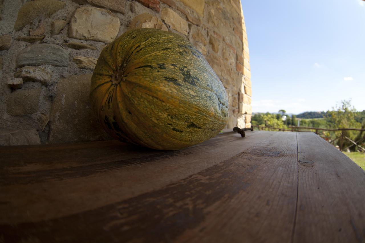 Agriturismo San Fedele Perugia Luaran gambar